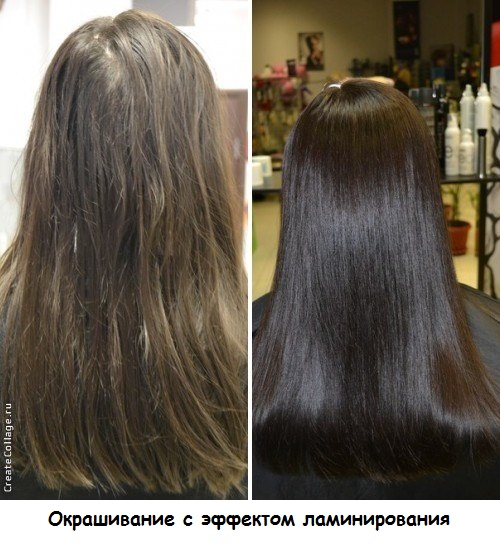 Женские сумки купить стильные и модные, наложенным Дерматолог Задать вопрос врачу