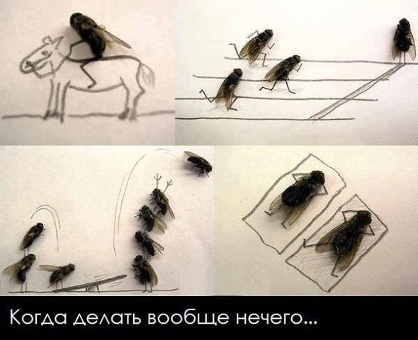 Что делать когда нечего делать за телефоном
