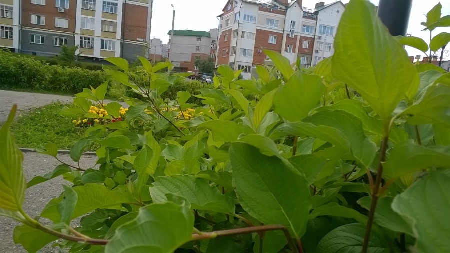Присоединённое изображение:
- WP_20150811_13_11_08_Pro.jpg
- Размер: 1,29мб, Скачано: 233