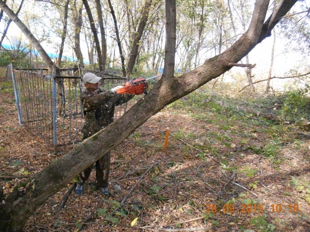 Присоединённое изображение