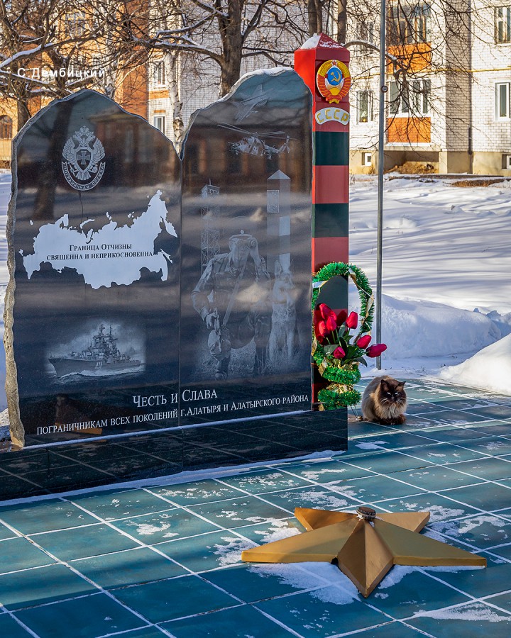 Присоединённое изображение