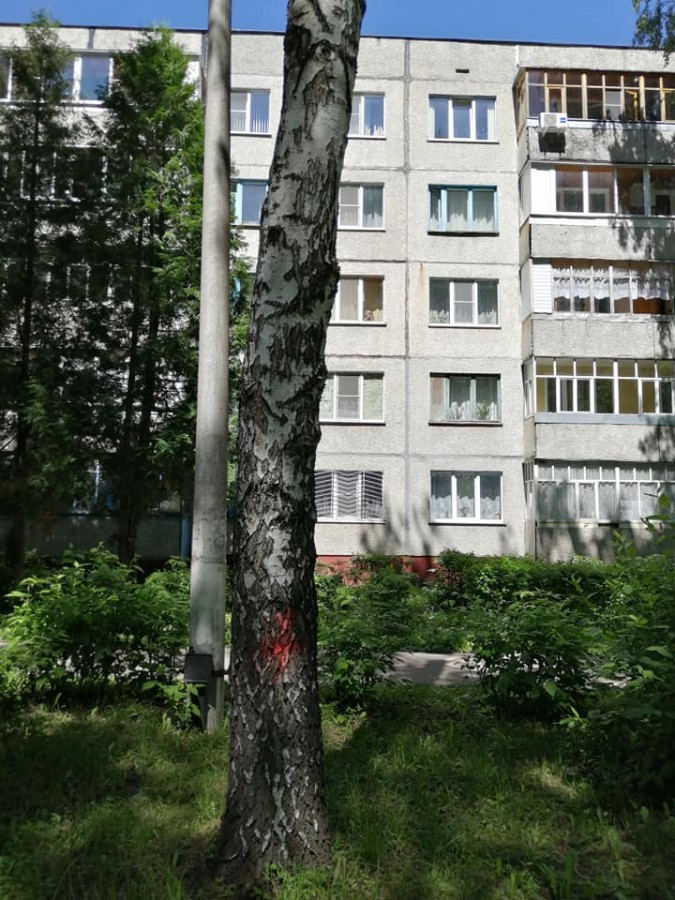 Присоединённое изображение:
- 104653104_2826287170831622_5541704127547544320_n.jpg
- Размер: 113,2кб, Скачано: 0