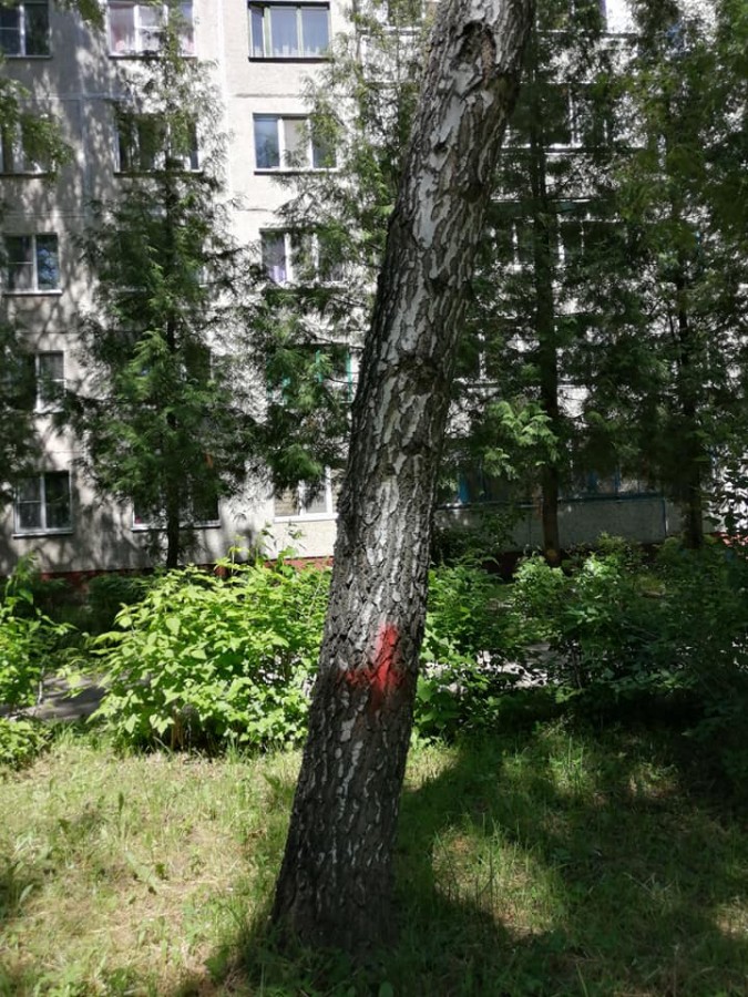 Присоединённое изображение:
- 104755441_2826287754164897_5262793463075383050_n.jpg
- Размер: 132,07кб, Скачано: 0