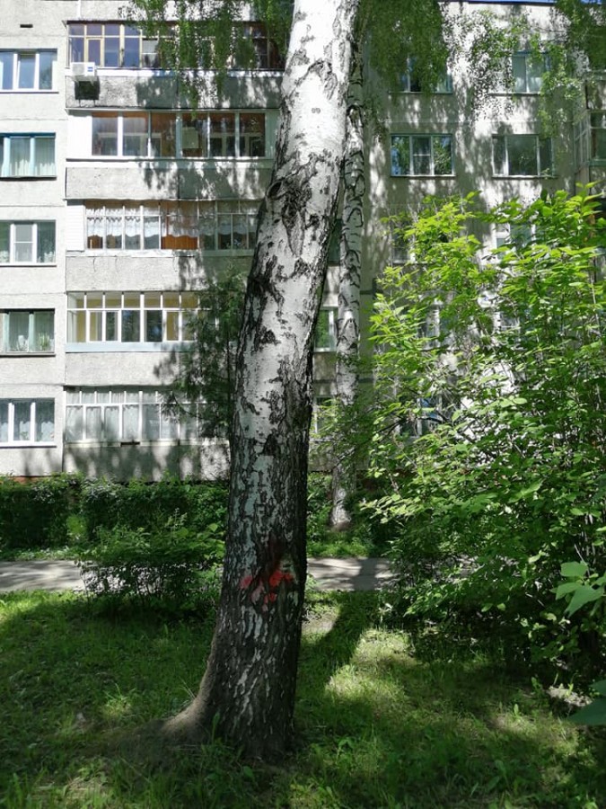 Присоединённое изображение:
- 104767892_2826287274164945_27341774552323149_n.jpg
- Размер: 138,28кб, Скачано: 0