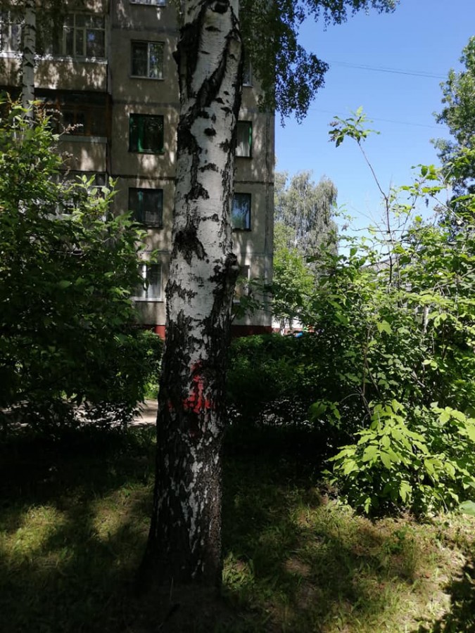 Присоединённое изображение:
- 104792247_2826287434164929_1401758365648607650_n.jpg
- Размер: 117,72кб, Скачано: 0