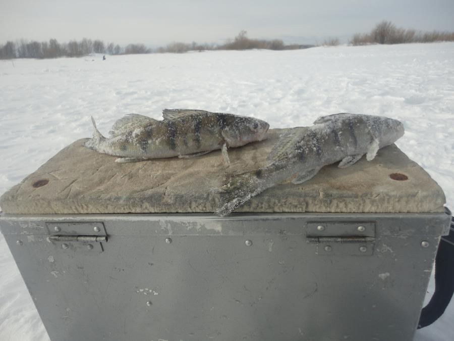 Присоединённое изображение:
- 3.jpg
- Размер: 385,05кб, Скачано: 25