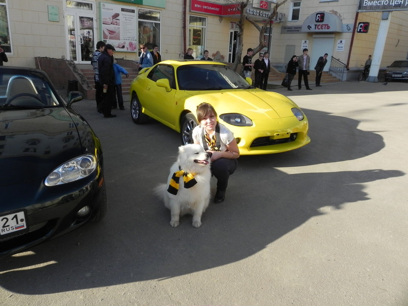 Присоединённое изображение