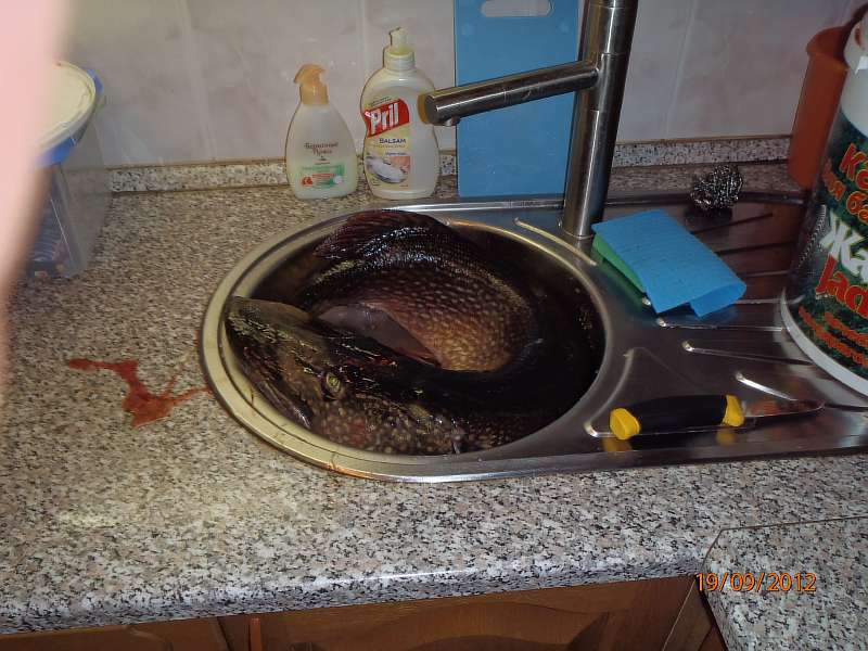 Присоединённое изображение