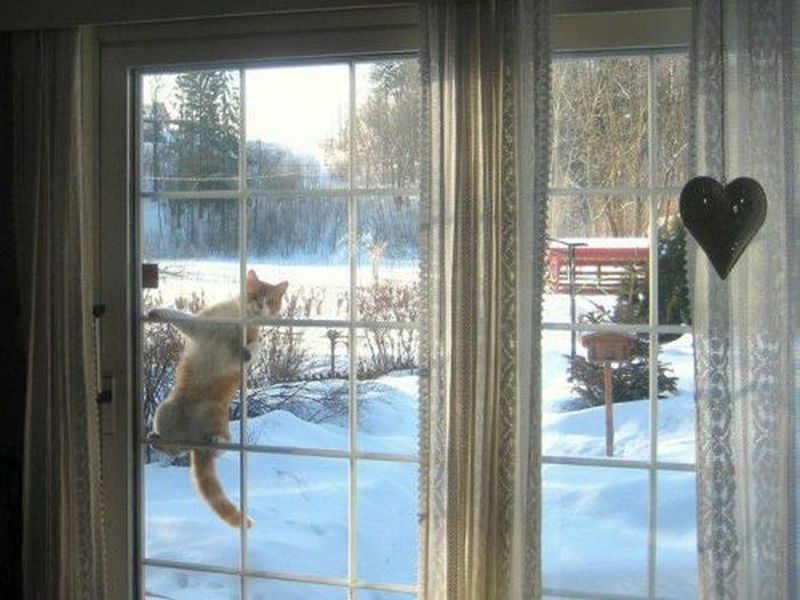 нельзя сначала убивать потом шептать я не нарочно стих. выйди на минутку. выйди на минутку. нельзя сначала убивать потом шептать я ненарошно стих.