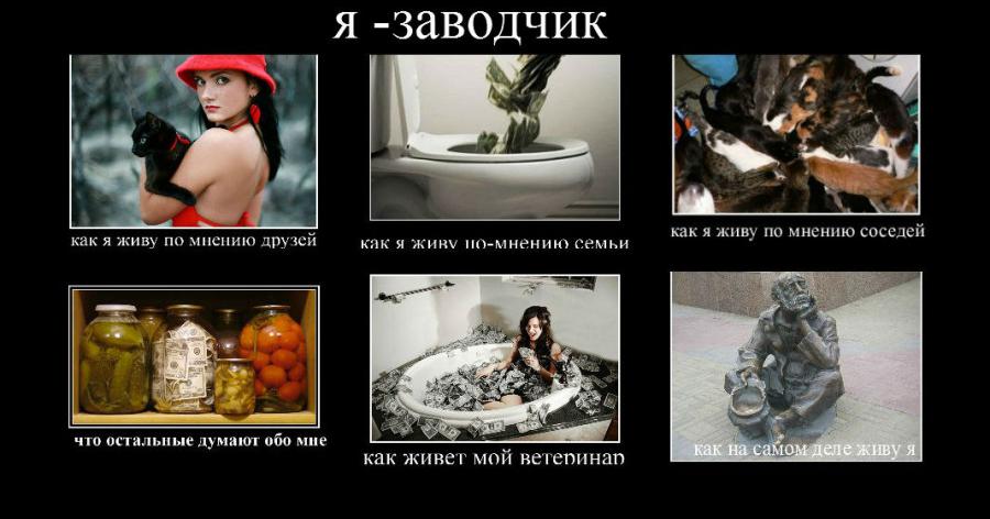 Качество породы