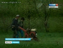 Присоединённое изображение