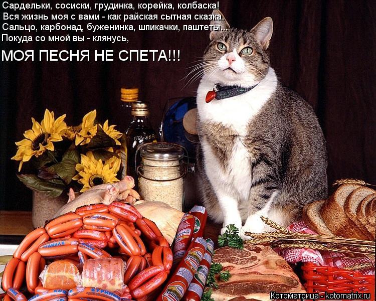 любимому зайке ест колбасу-смешные картинки каддафи ждет