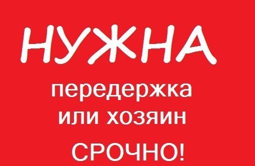 Картинки срочно нужна передержка