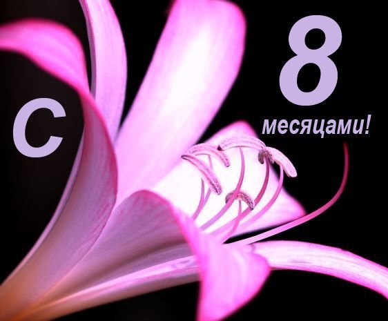 Присоединённое изображение