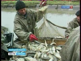 Присоединённое изображение