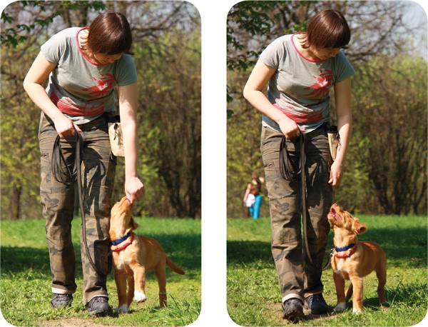 Негативное усиление