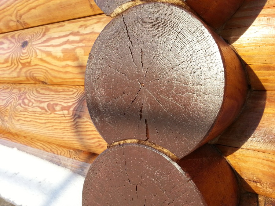 Шлифованный брус. Поперечный радиальный тангентальный разрез древесины. Торцовые поверхности древесины впитывают влагу. Мокрая древесина. Торцовые поверхности древесины впитывают влагу.
