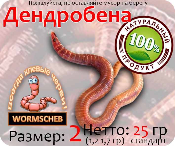 Присоединённое изображение