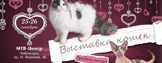 Присоединённое изображение