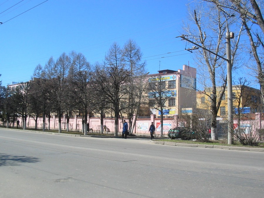 опубликованное пользователем изображение