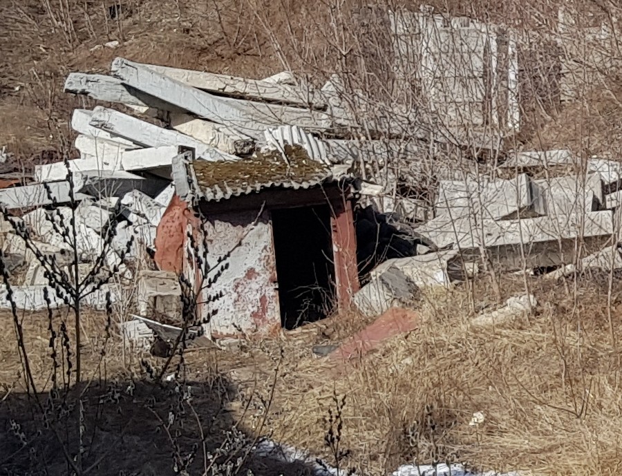 Присоединённое изображение