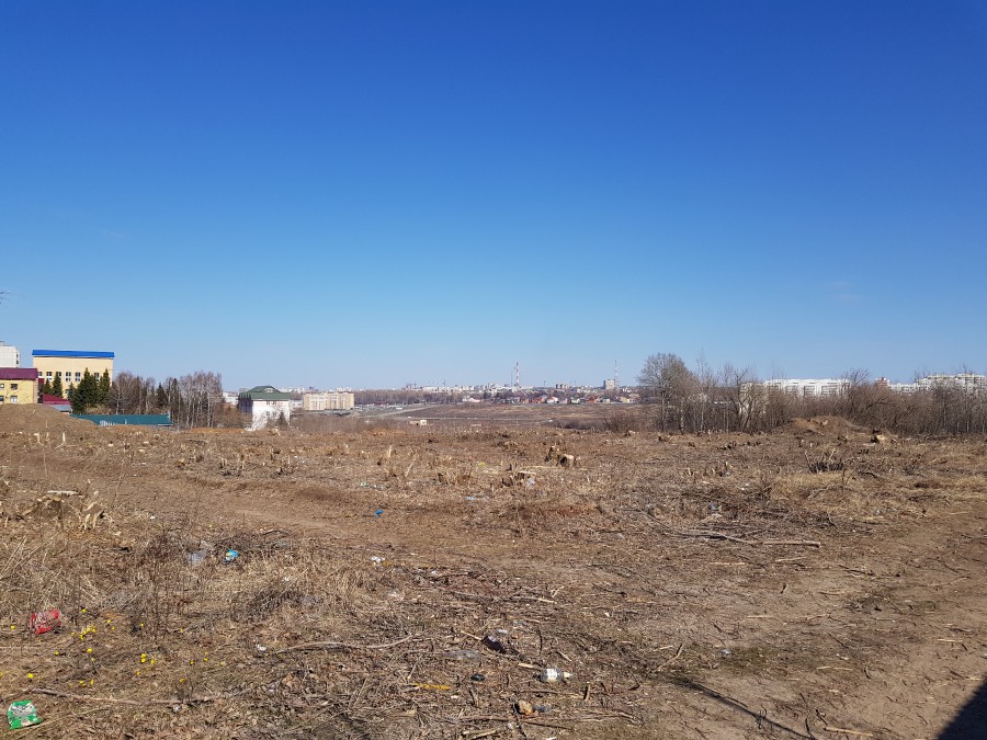 Присоединённое изображение