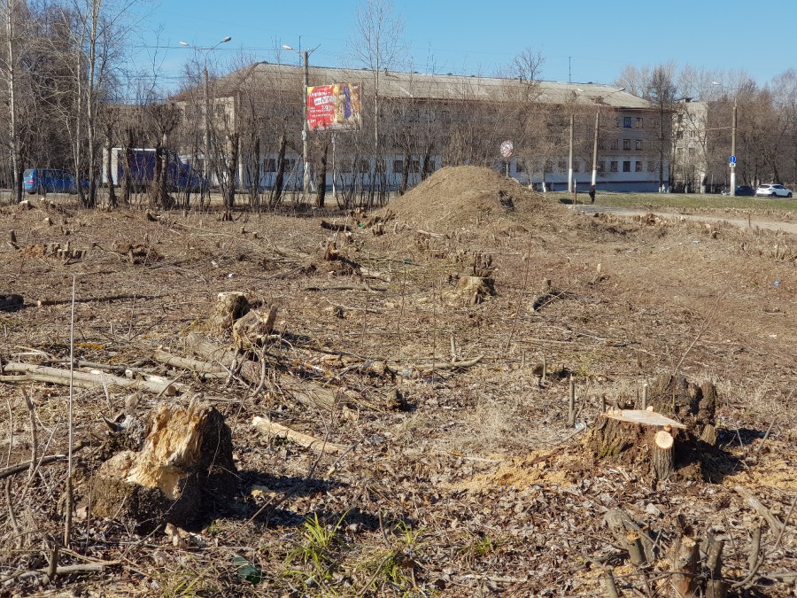 Присоединённое изображение
