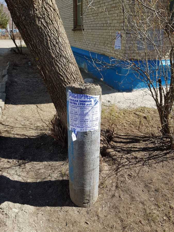 Присоединённое изображение