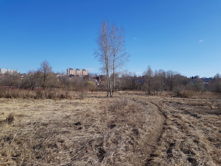 Присоединённое изображение