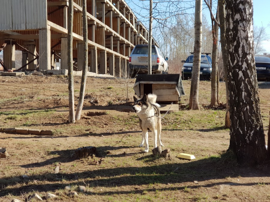 Присоединённое изображение