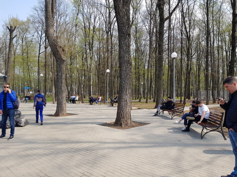 Присоединённое изображение