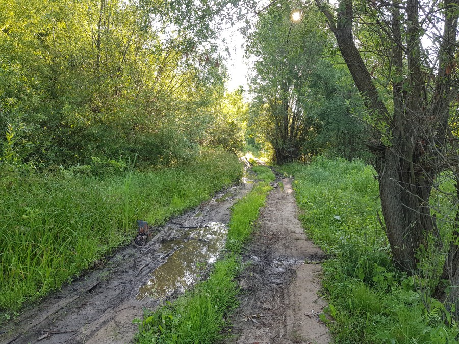 Присоединённое изображение