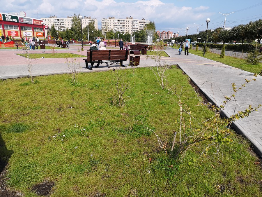 Присоединённое изображение