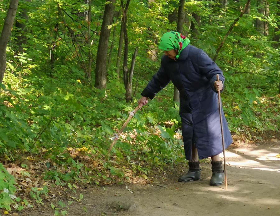 Присоединённое изображение