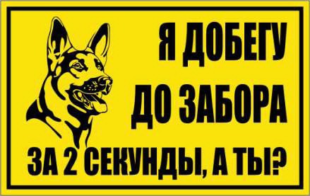 Присоединённое изображение