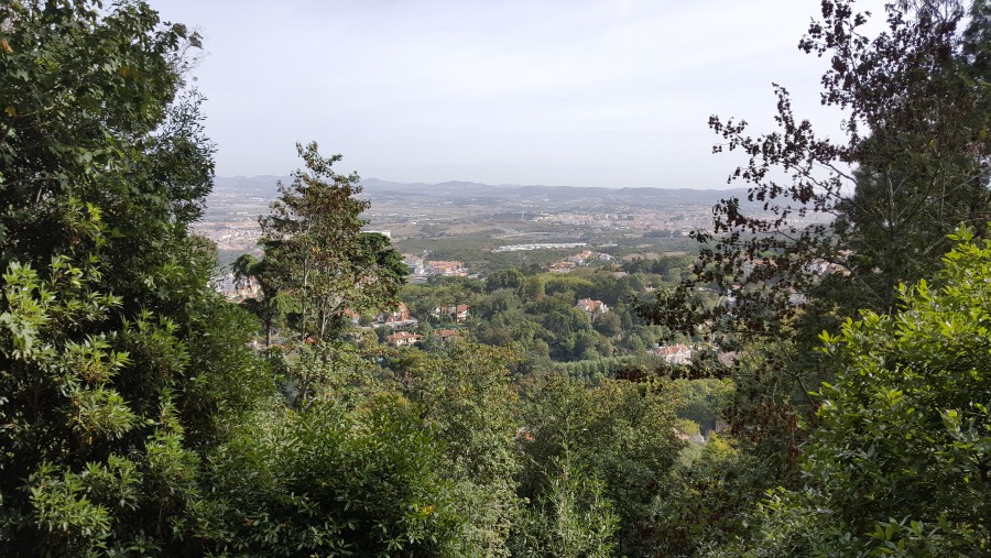 Присоединённое изображение