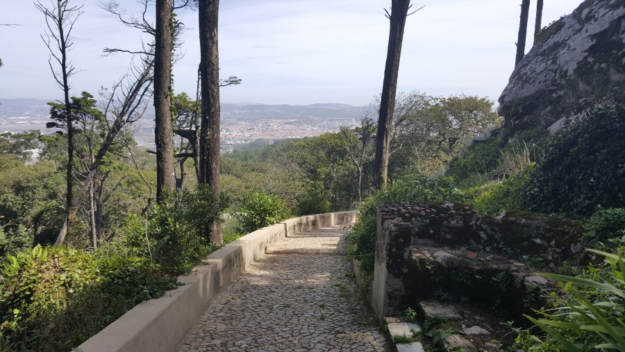 Присоединённое изображение