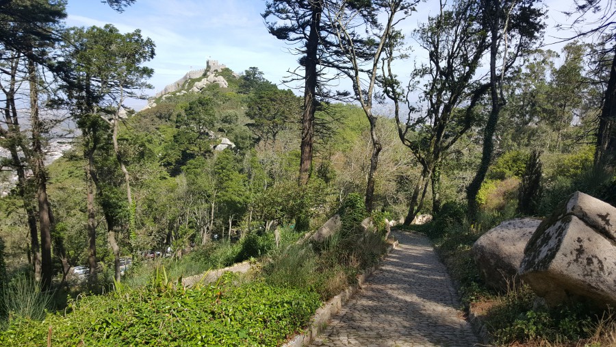 Присоединённое изображение