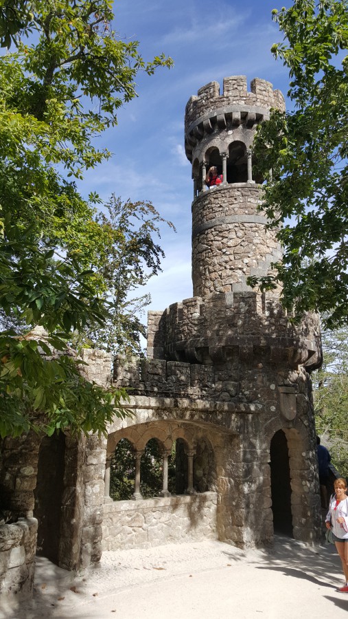 Присоединённое изображение