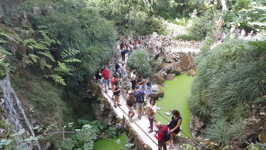 Присоединённое изображение