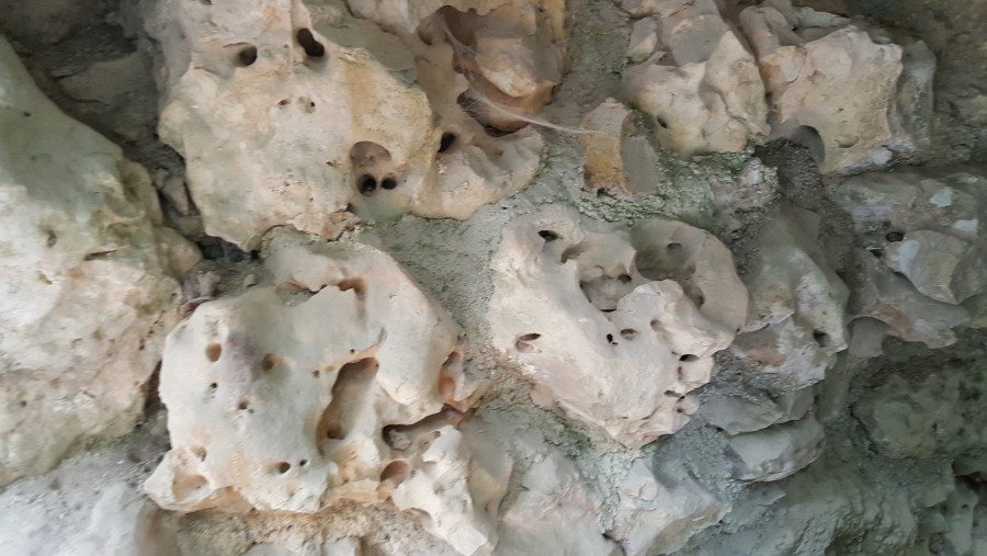 Присоединённое изображение