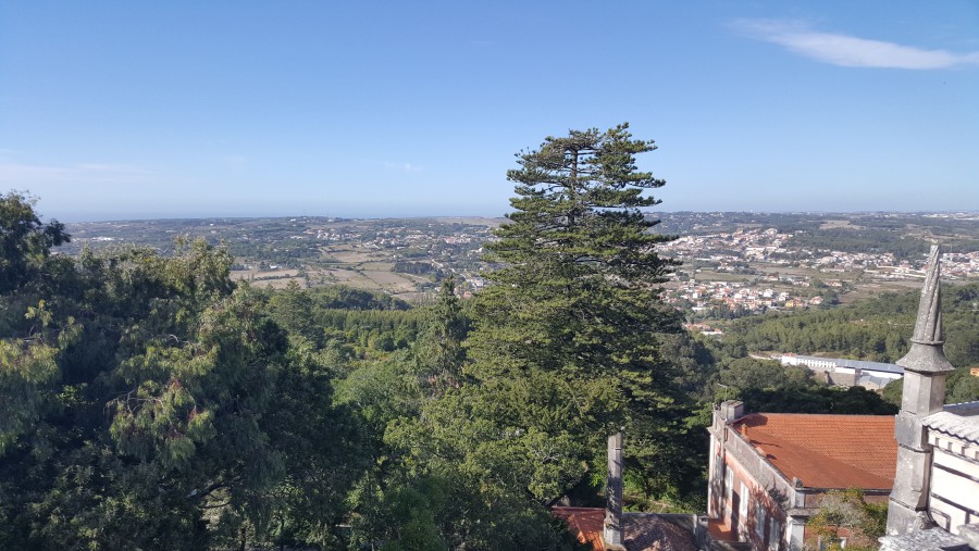 Присоединённое изображение