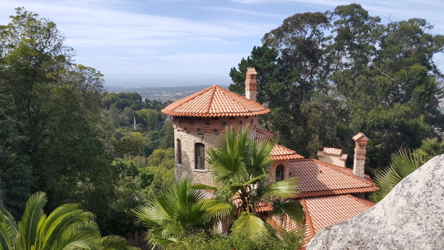 Присоединённое изображение