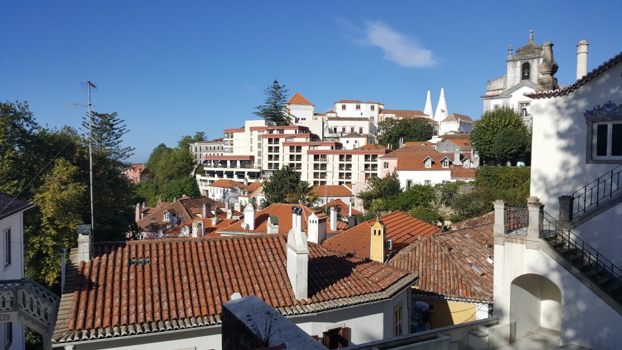 Присоединённое изображение