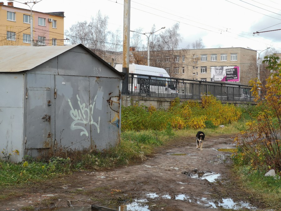 Присоединённое изображение