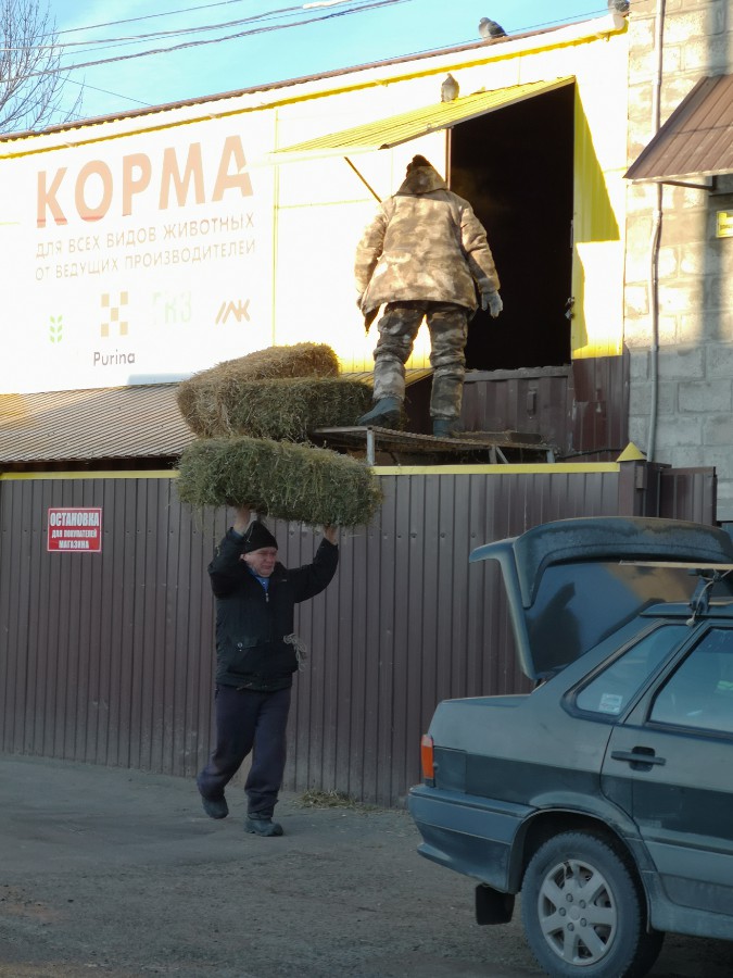 Присоединённое изображение