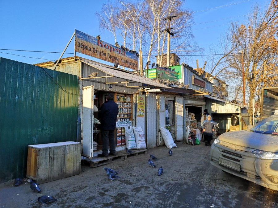 Присоединённое изображение