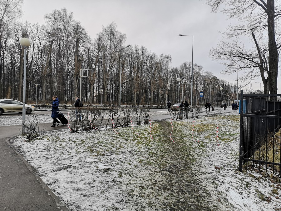 Присоединённое изображение