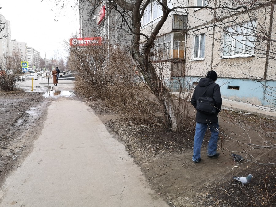 Присоединённое изображение
