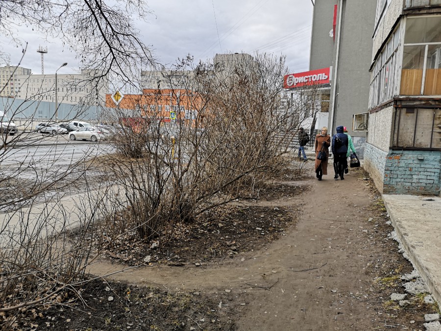 Присоединённое изображение